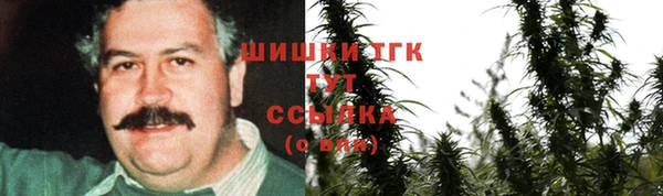 шишки Алзамай