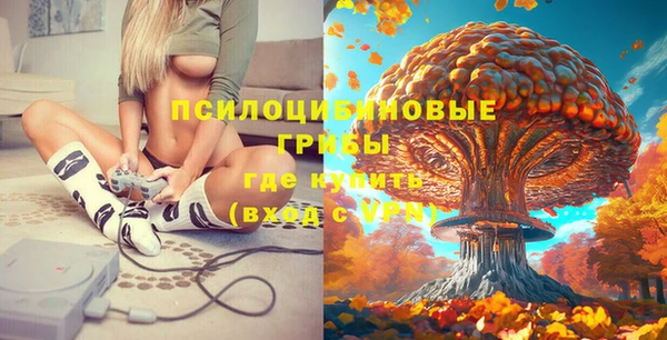 молекула духа Алексин