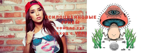 молекула духа Алексин
