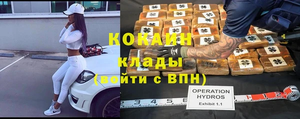 шишки Алзамай